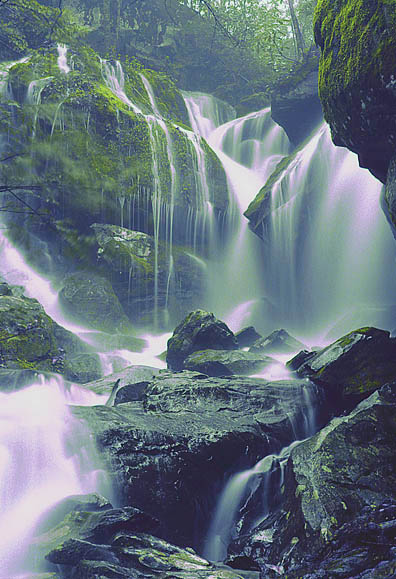 Waterfall
Smoky Mountains
Tennessee