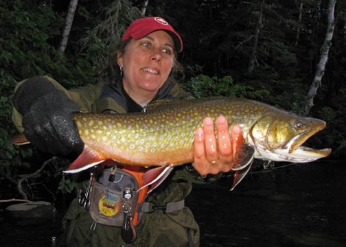 Speckled Trout
(Brook Trout)
Ontario, Canada